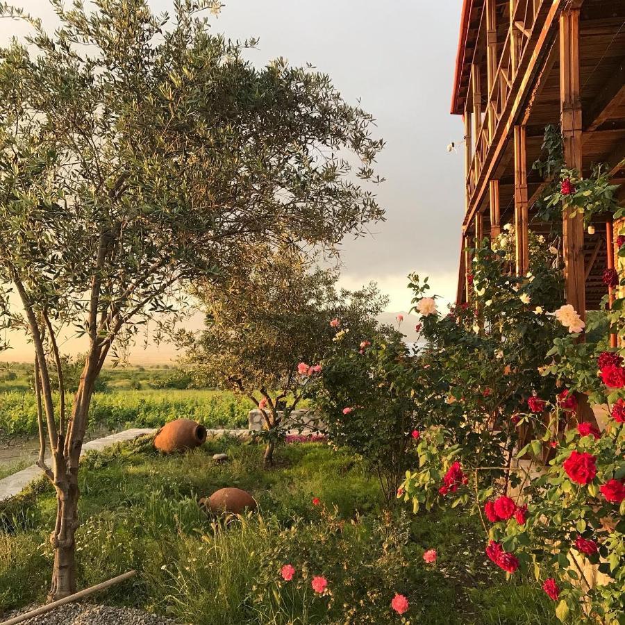 Kardanakhi Elizbar Talakvadze Wineryヴィラ エクステリア 写真