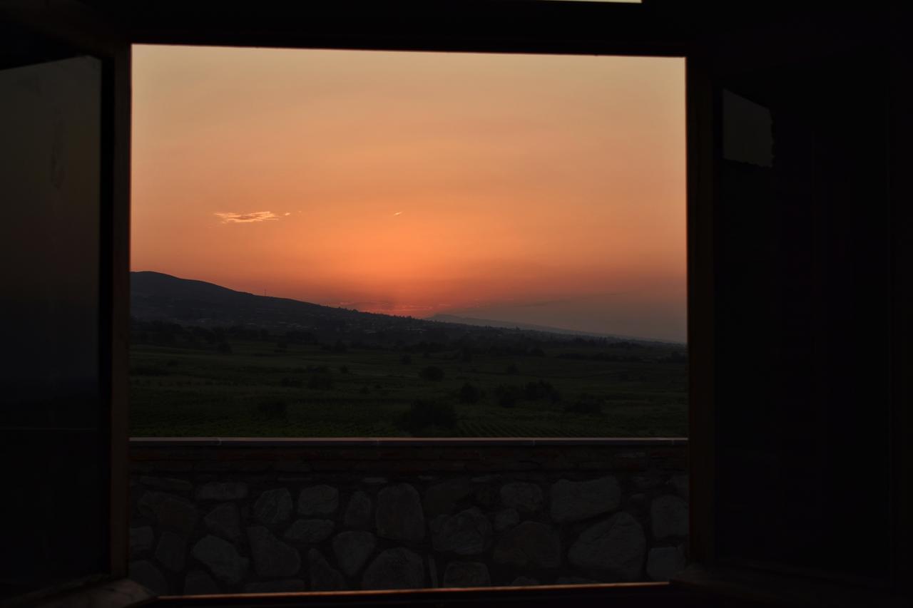 Kardanakhi Elizbar Talakvadze Wineryヴィラ エクステリア 写真