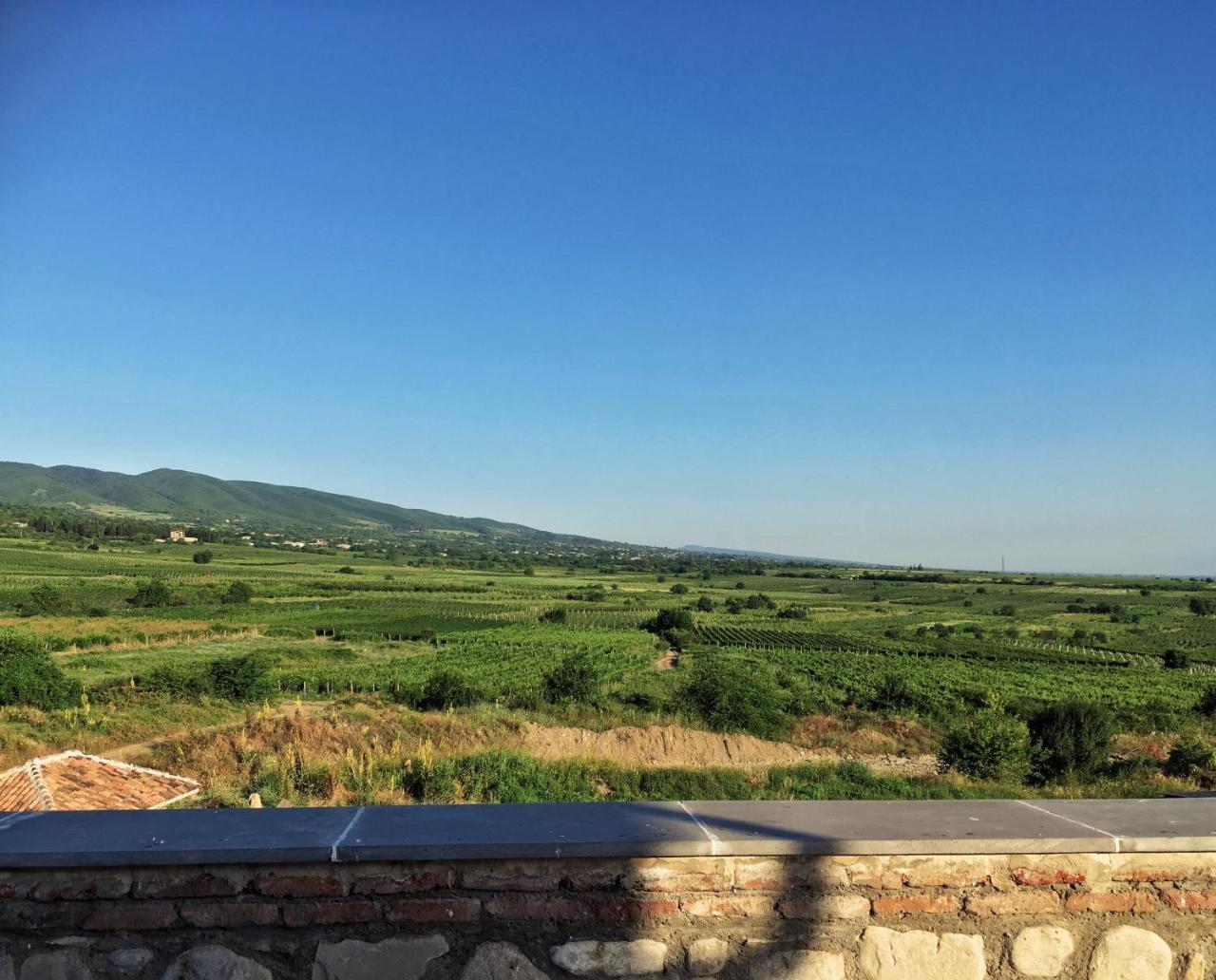 Kardanakhi Elizbar Talakvadze Wineryヴィラ エクステリア 写真